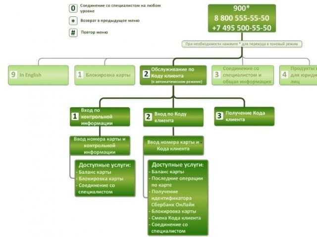 Technischer Support Sberbank Business Online – Hotline für juristische Personen