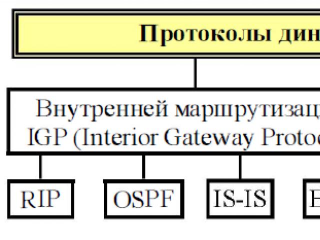 OSPF BGP RIP Routing Protocols