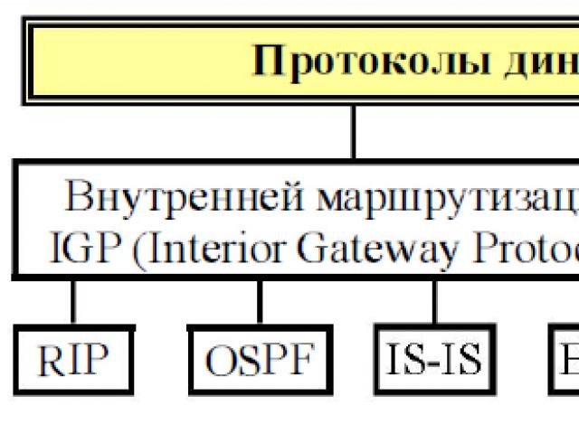 Protokoli usmerjanja OSPF BGP RIP